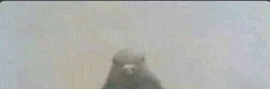 у“