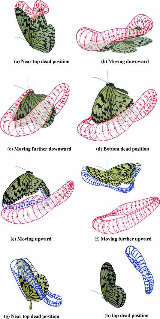 (a) Near top dead position Moving downward А Moving further downward Bottom dead position IES 4 Moving upward Moving further upward CEN 5 (2) Near top dead position top dead position