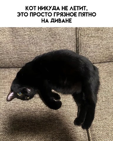 От подписчиков (у них я тоже ворую мемы)
