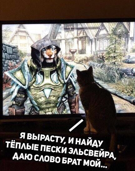 к ABbIPACTy ИНАЙДУ ТЕПЛЫЕ ПЕСКИ ЭЛЬСВЕЙРА, ААЮ СЛОВО БРАТ МОЙ...