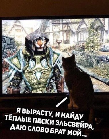 к ABbIPACTy ИНАЙДУ ТЕПЛЫЕ ПЕСКИ ЭЛЬСВЕЙРА, ААЮ СЛОВО БРАТ МОЙ...