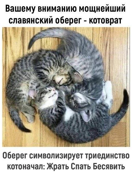 Вашему вниманию мощнейший славянский оберег котоврат |1 4 я Оберег символизирует триединство котоначал: Жрать Спать Бесявить