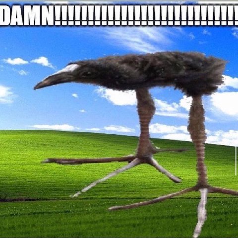 а