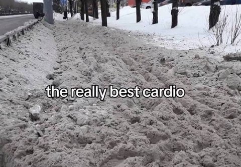 really best cardio