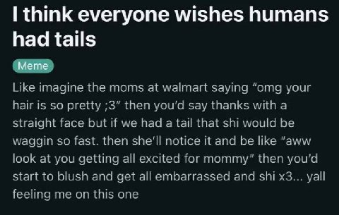think everyone wishes humans had tails _Мете_ Like imagine the moms at walmart saying “omg your hair is so pretty ;3” then say thanks with а straight face but if we had a tail that shi would be waggin