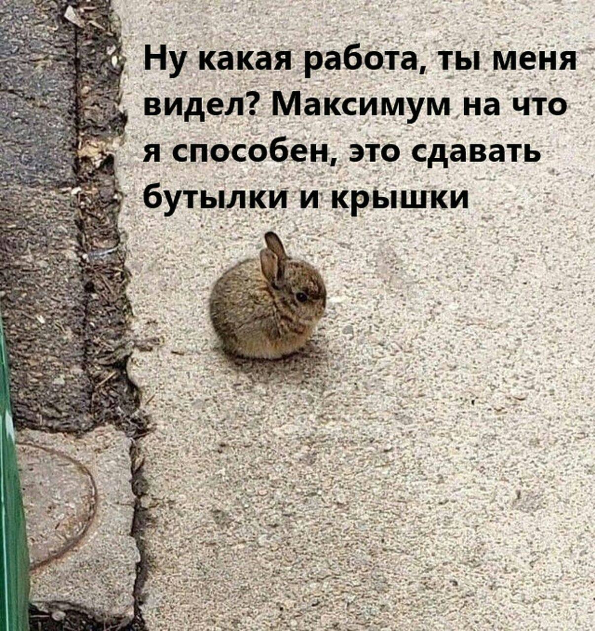 какая работа, ты a Максимум. на что. я способен, это шки ‚бутылки и кры «22. a ‘ens 4 я an a (2 5: We $9 3$ A