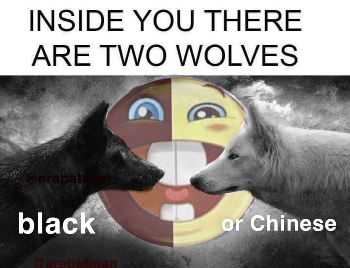INSIDE YOU THERE ARE TWO WOLVES black