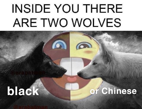 INSIDE YOU THERE ARE TWO WOLVES black