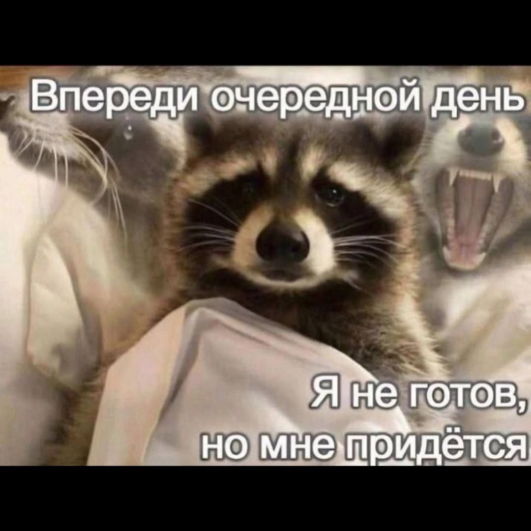 Впереди очередной день A В, но