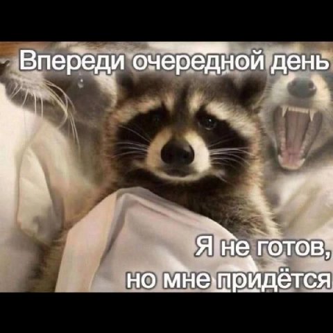 Впереди очередной день A В, но