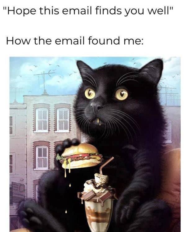 "Hope this email finds you well" How the email found me: о