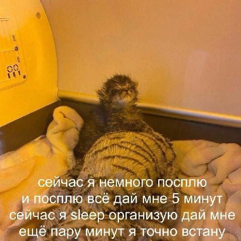 сейчас я немного посплю и посплю всё дай мне 5 минут сейчас я sleep организую дай мне еще пару минут я точно встану