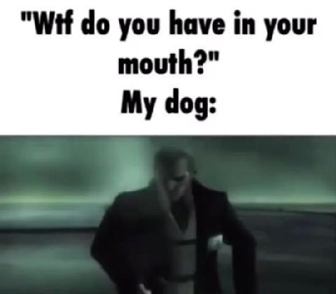 мем