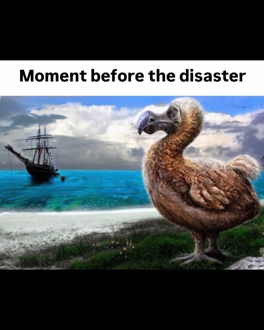 Moment before the disaster