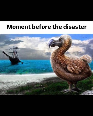 Moment before the disaster