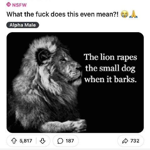 NSFW What the fuck does this even mean?! The lion rapes the small dog when it barks 4 5,817 187 732