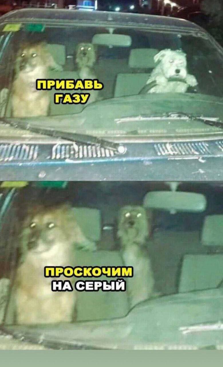 ПРИБАВЬ 7, ГАЗУ ПРОСКОЧИМ НА СЕРЫИ 1