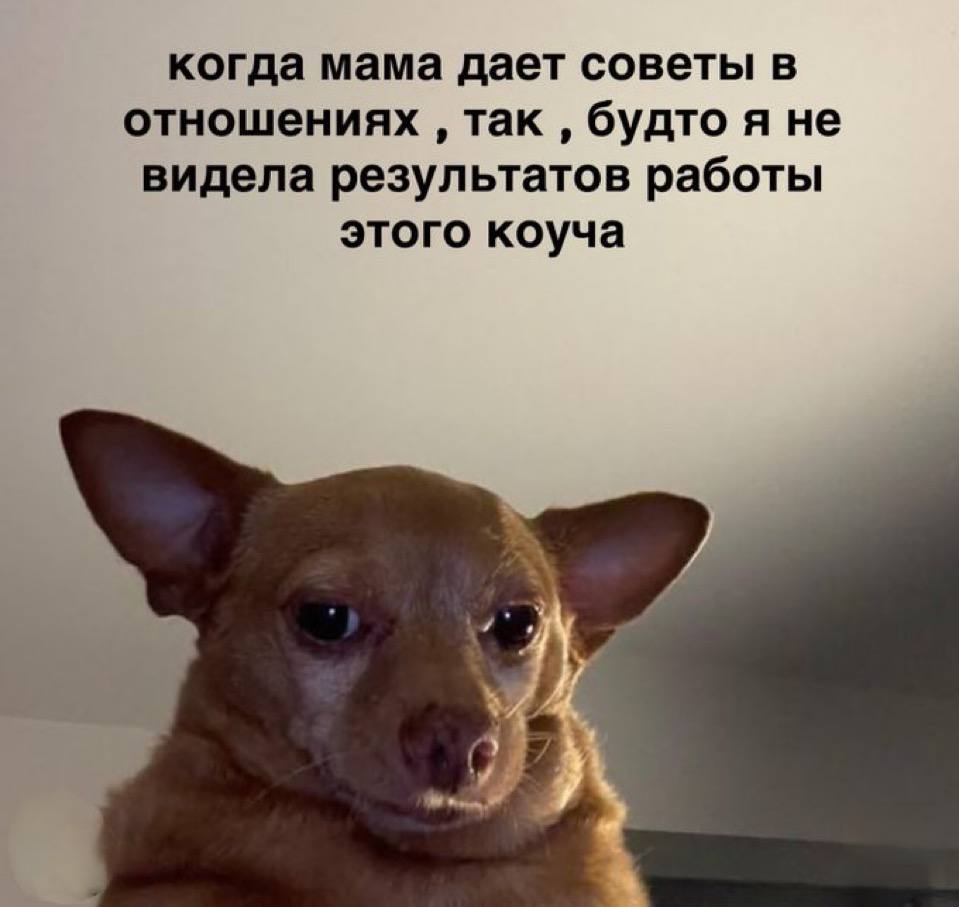 когда мама дает советы в отношениях так будто я не видела результатов работы этого коуча