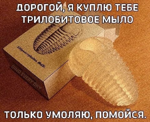 ПОРОГОЙ“Я КУПЛЮ ТЕБЕ ТРИЛОБИТОВОЕ МЫЛО ТОЛЬКО УМОЛЯЮ, ПОМОЙСЯ.