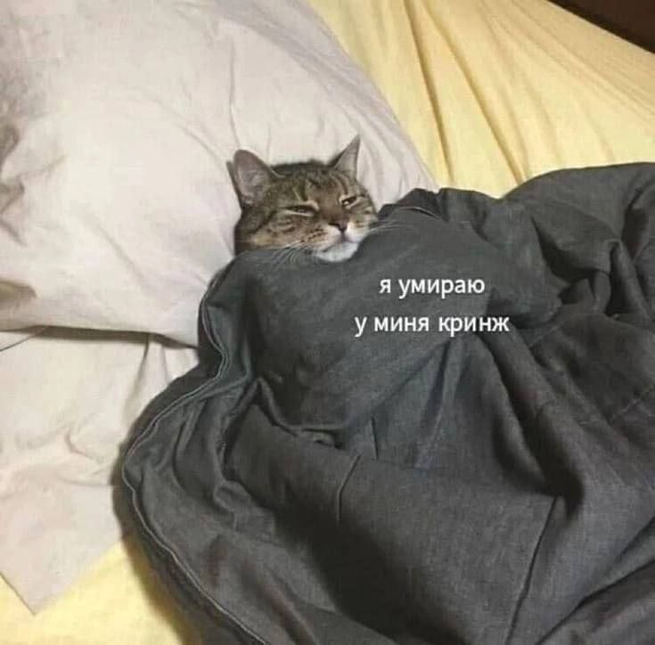 я умираю у миня кринж