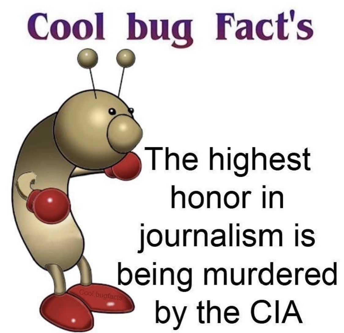Cool bug Fact's The highest honor in journalism is being murdered the CIA