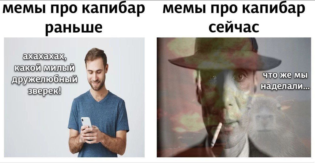 мемы про капибар мемы про капибар сеичас раньше ахахахах чтожемы елали