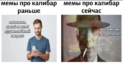 мемы про капибар мемы про капибар сеичас раньше ахахахах чтожемы елали