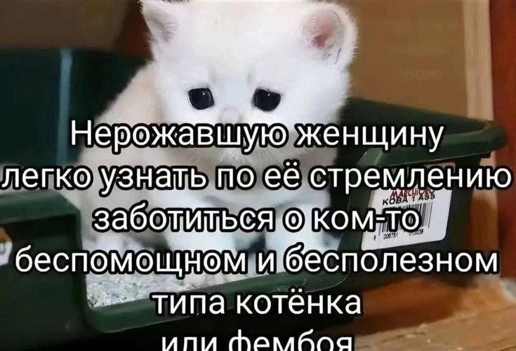 Нерожавшую" женщину легко узнать по её стремлению ибесполезном типа котёнка “NIU