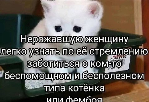 Нерожавшую" женщину легко узнать по её стремлению ибесполезном типа котёнка “NIU