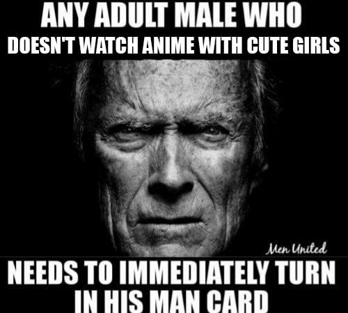 ANY ADULT MALE WHO DOESN'T WATCH ANIME WITH CUTE GIRLS NEEDS ТО IMMEDIATELY TURN IN HIS MAN CARD