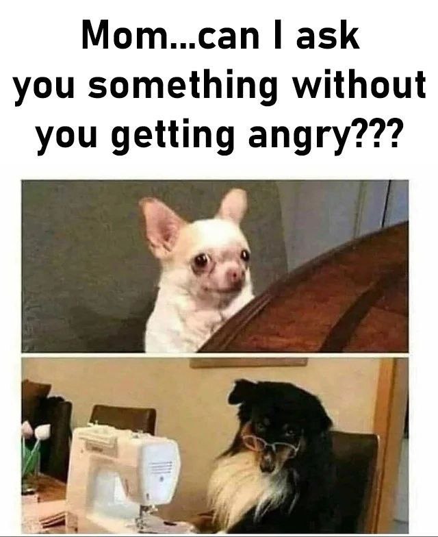 Mom...can ask you something without you getting angry???