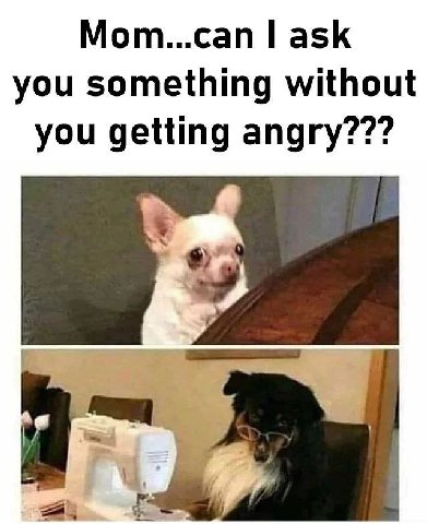 Mom...can ask you something without you getting angry???