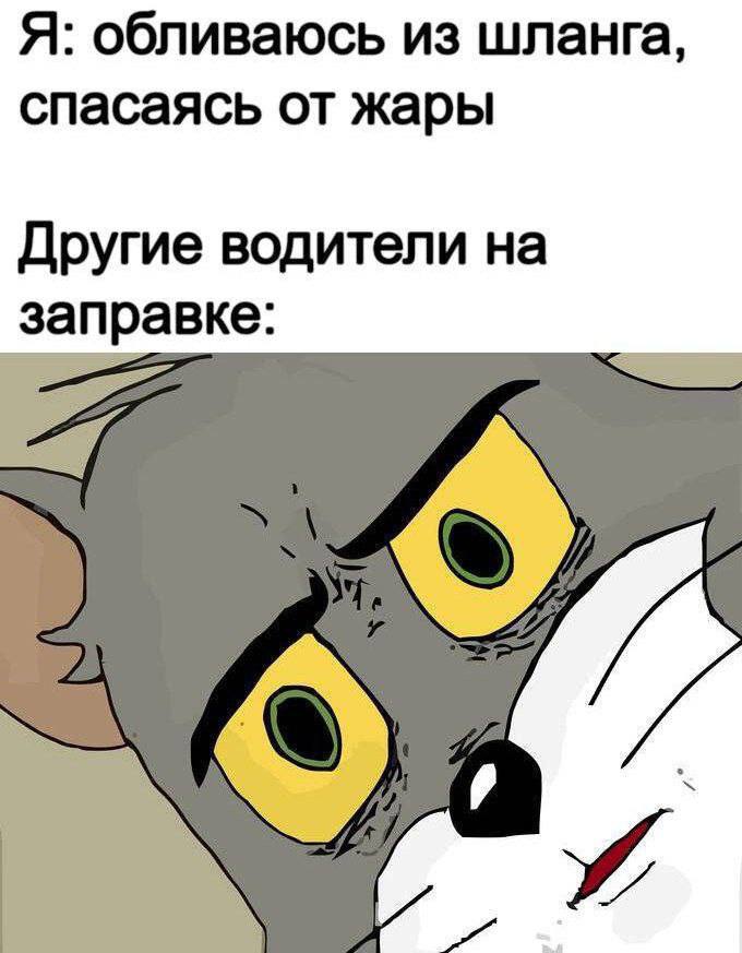 Я: обливаюсь из шланга, спасаясь от жары Другие водители на заправке: