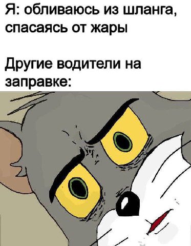 Я: обливаюсь из шланга, спасаясь от жары Другие водители на заправке: