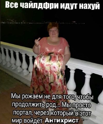 Все чайлдфри идут нахуй Мы рожаем не для того, чтобы продолжить род... Мы просто портал, через который в этот мир войдет Антихрист