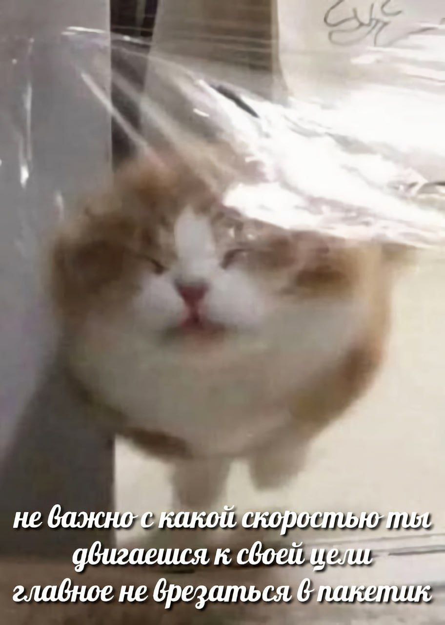 He We дбигаешся, к своей главное не врезаться