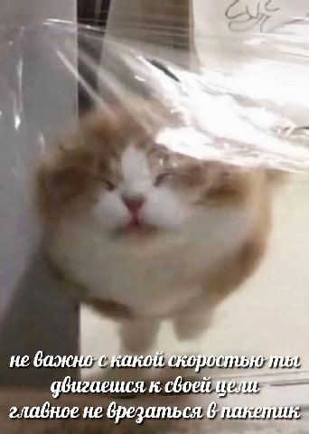 He We дбигаешся, к своей главное не врезаться