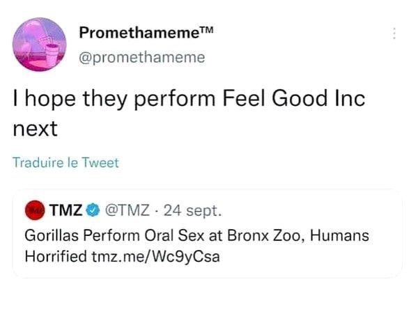 Promethameme™ @promethameme hope they perform Feel Good Inc next Traduire Tweet 24 sept. Gorillas Perform Oral Sex at Bronx Zoo, Humans Horrified tmz.me/Wc9yCsa