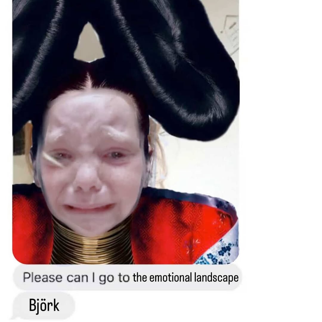 Please can to the emotional landscape Bjark