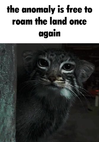мем