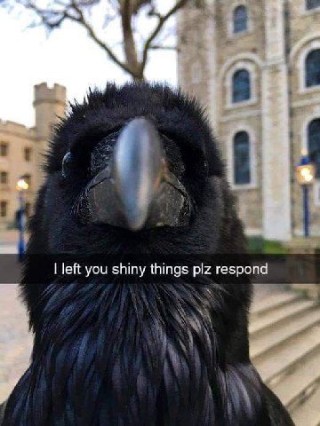 left you shiny things plz respond
