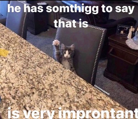 he has somthigg to say thatis.... a