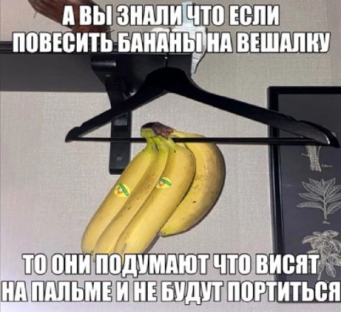 АВЫ ЗНАЛИ ПОВЕСИТЬ БАНА НА 4 ДУМАЮТ ЧТО ВИСЯТ НЕ БУДУТ ПОРТИТЬСЯ