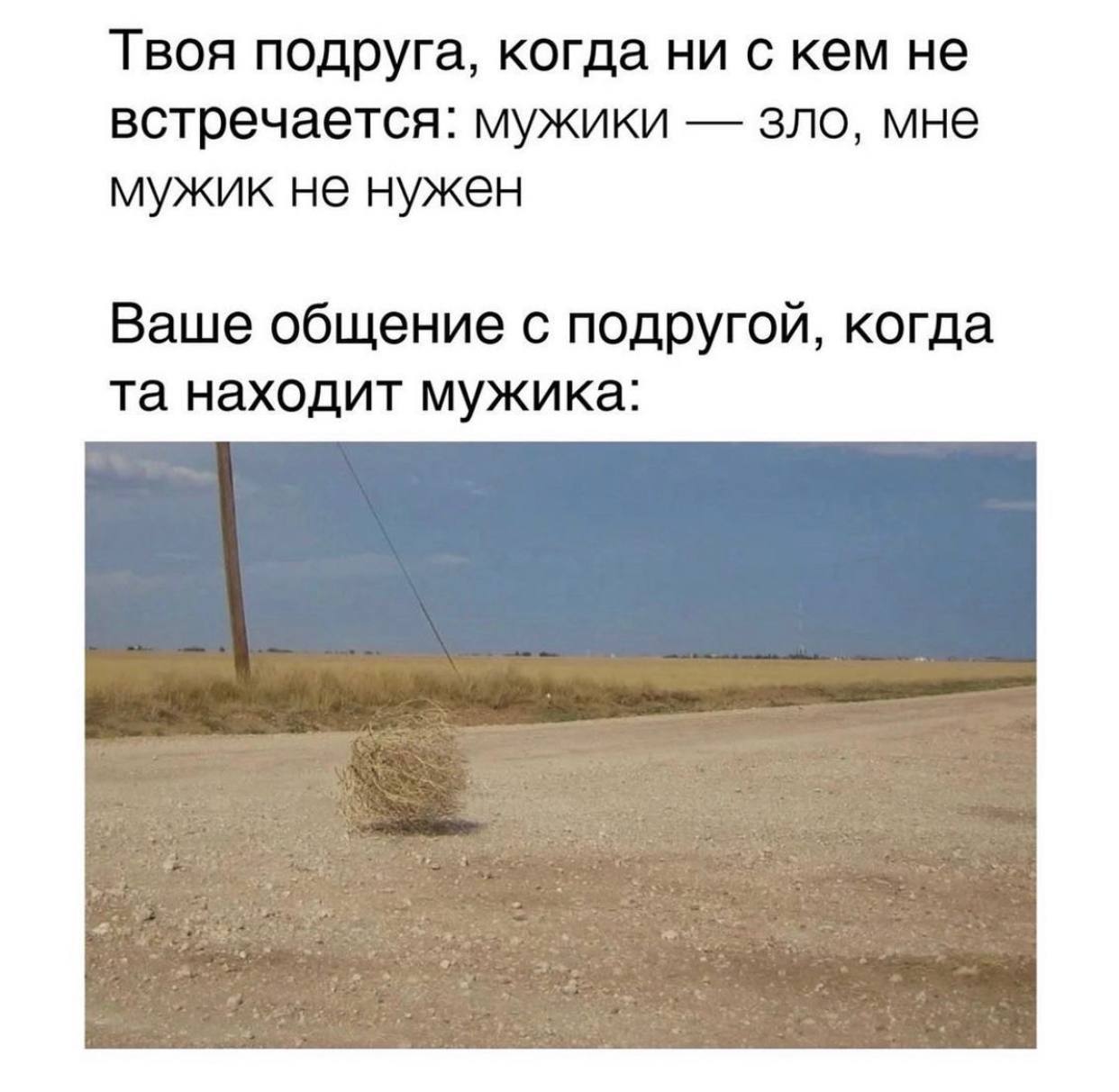 Твоя подруга, когда ни с кем не встречается: мужики зло, мне мужик не нужен Ваше общение с подругой, когда находит мужика: