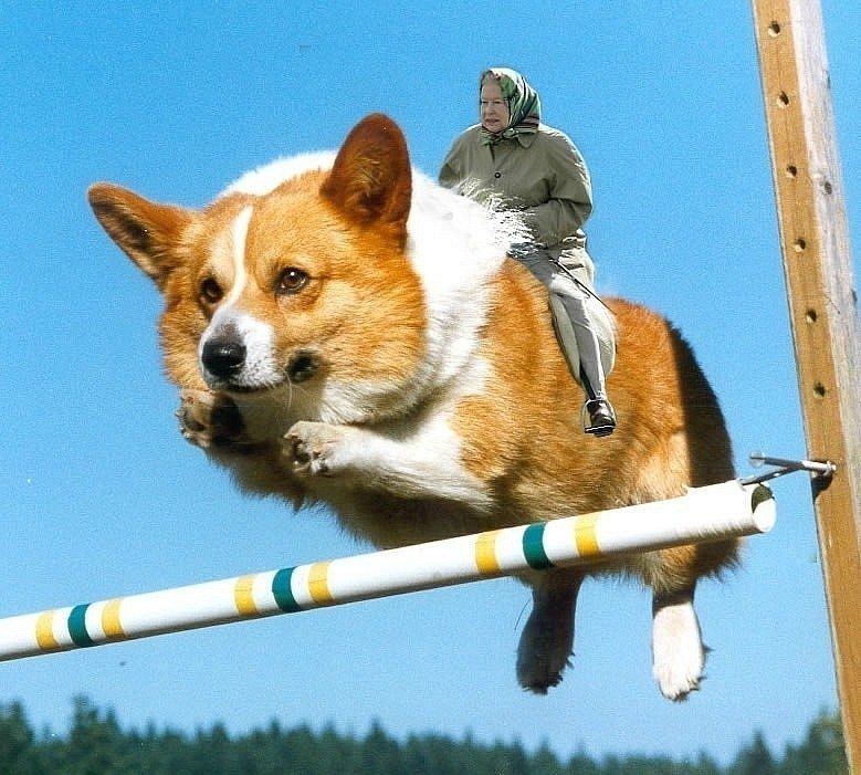 к 6 4