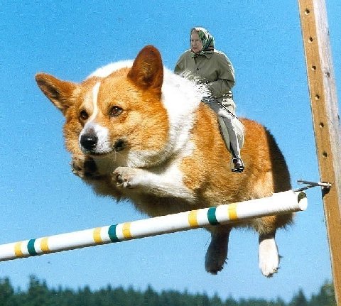 к 6 4