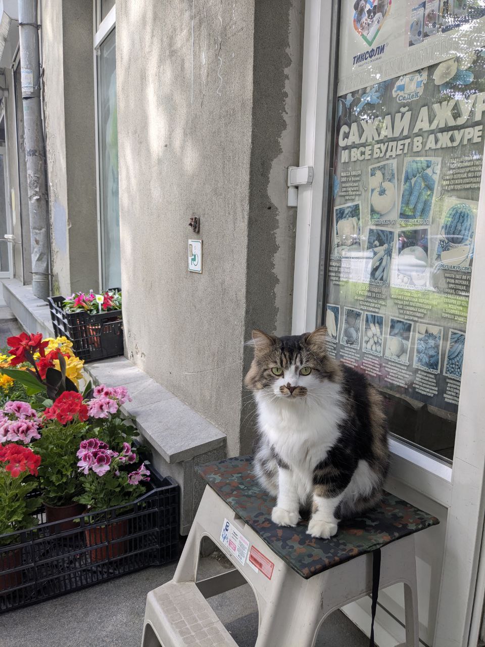 вот, держите кошбку.