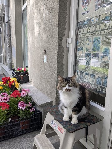 вот, держите кошбку.