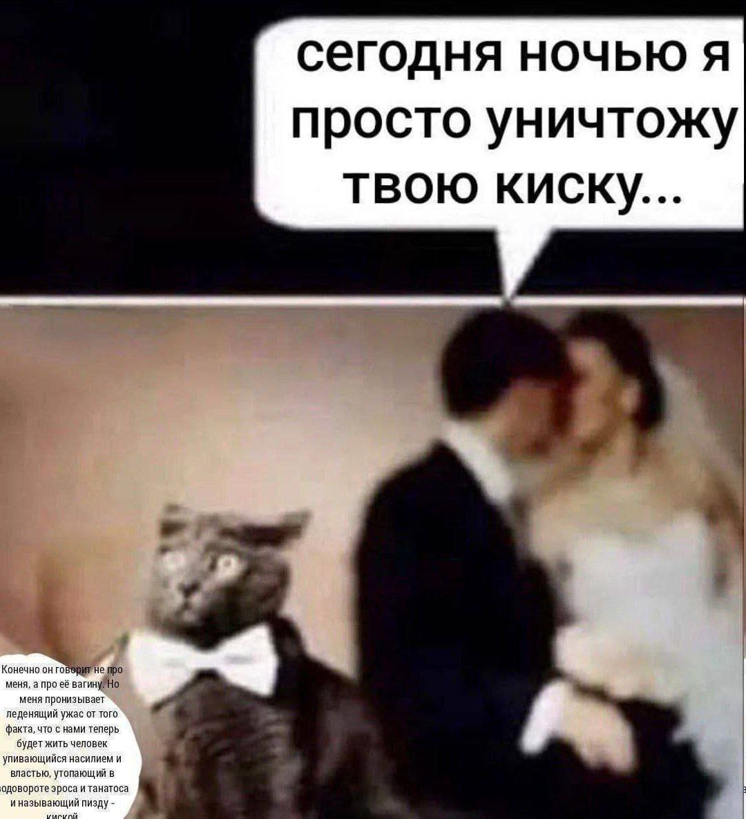 сегодня ночью я просто уничтожу ТВОЮ КИСКУ... Конечно он ‘He про меня, а про меня пронизывает леденящий ужас от того факта, что с нами теперь будет жить человек упивающийся насилием и властью, утопающ