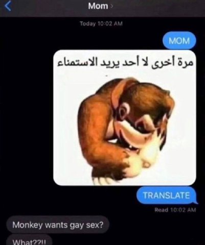Мот dyo Monkey wants gay sex?